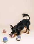 Load image into Gallery viewer, Handcrafted Lillabel Rainbow Ball for dogs
