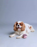 Load image into Gallery viewer, Organic cotton dog play ball for safe chewing
