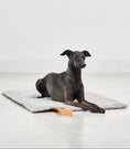 Load image into Gallery viewer, Portable dog blanket with leather handle for easy travel
