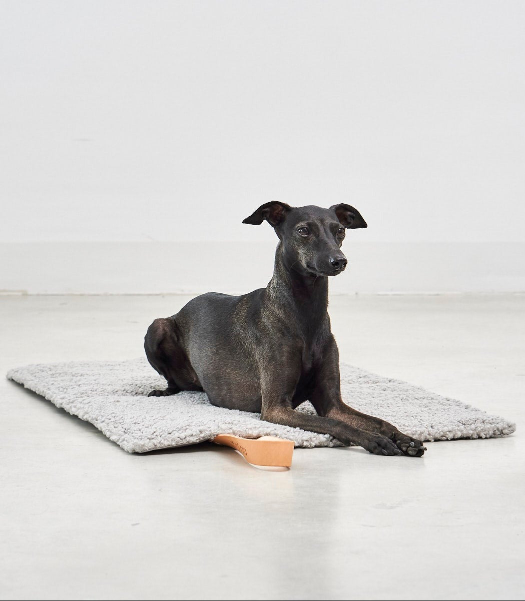 Portable dog blanket with leather handle for easy travel