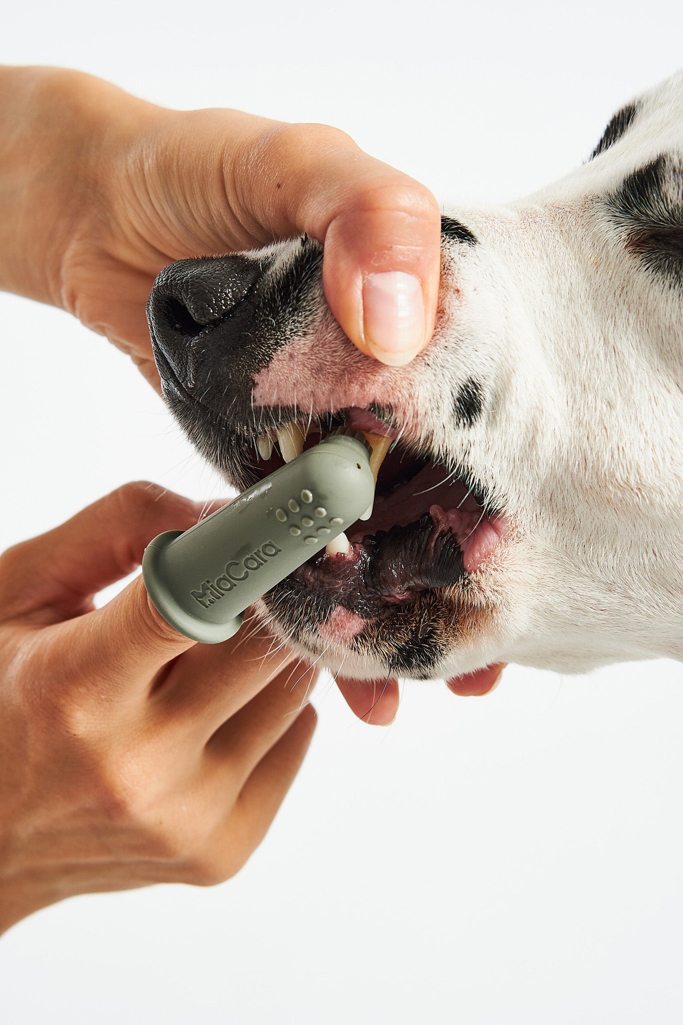 Natural oral care for dogs - Dente gel