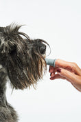 Load image into Gallery viewer, Dog gum health toothbrush with massage nubs
