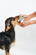 Load image into Gallery viewer, Flexible silicone bristles dog toothbrush for plaque removal
