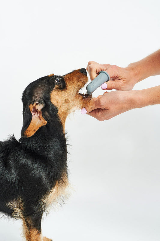 Flexible silicone bristles dog toothbrush for plaque removal