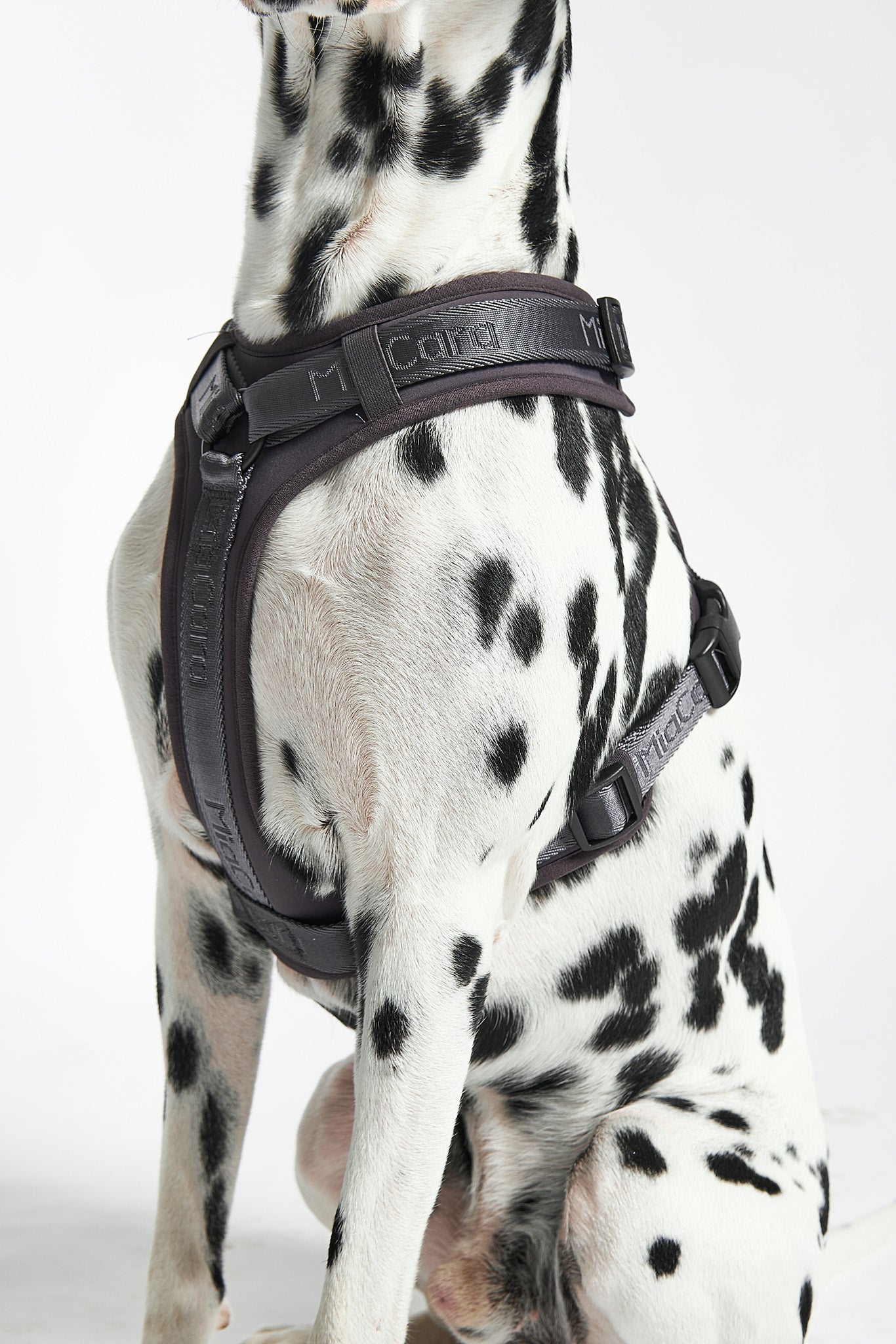 detailed size guide to help you select the perfect harness