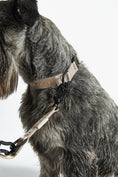 Load image into Gallery viewer, Modena: The ultimate premium dog collar experience
