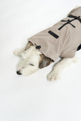 Load image into Gallery viewer, Elegant sand-colored dog rain coat
