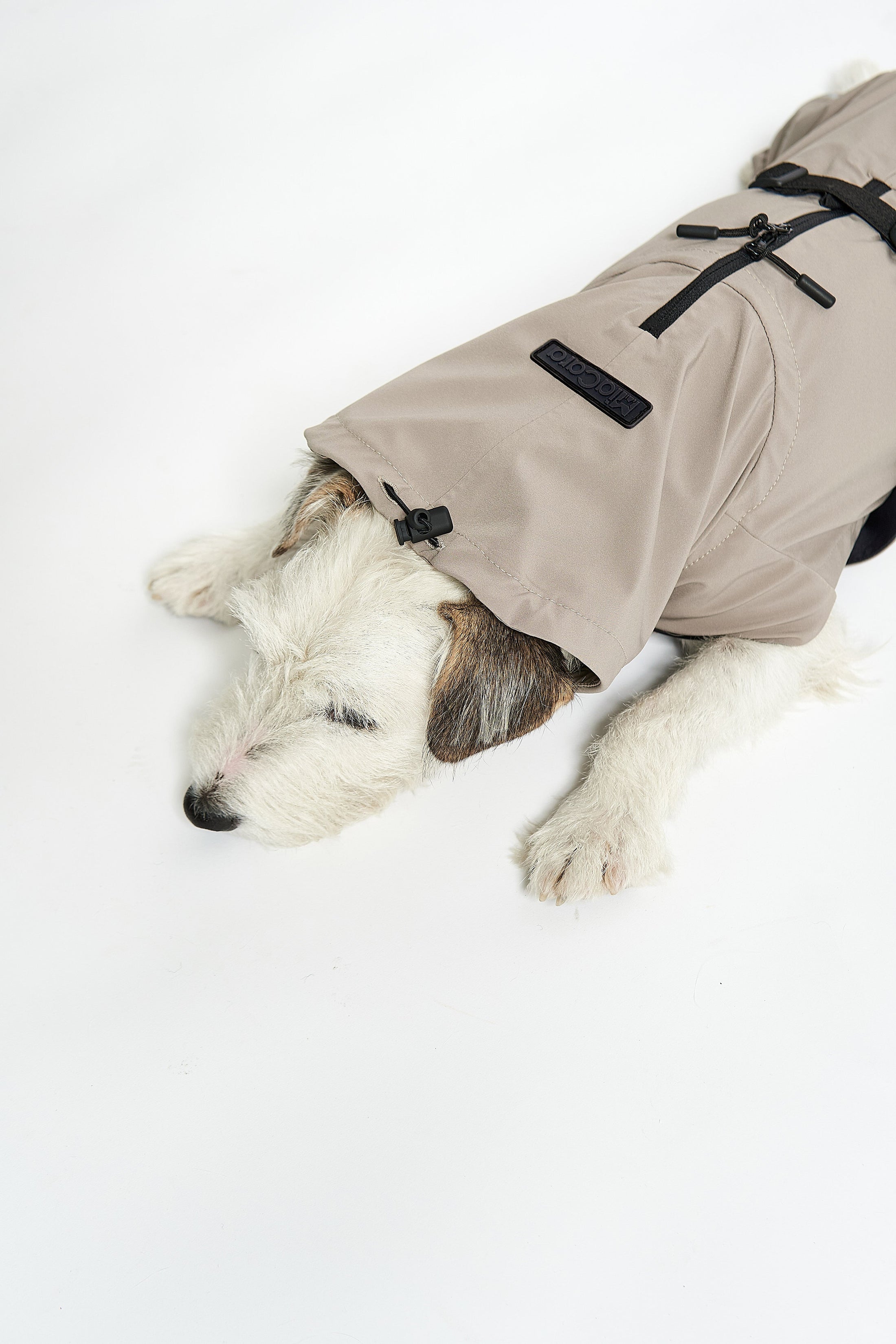 Elegant sand-colored dog rain coat