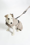 Load image into Gallery viewer, Rain Coat for Dogs: Stay Dry and Stylish with Valentina
