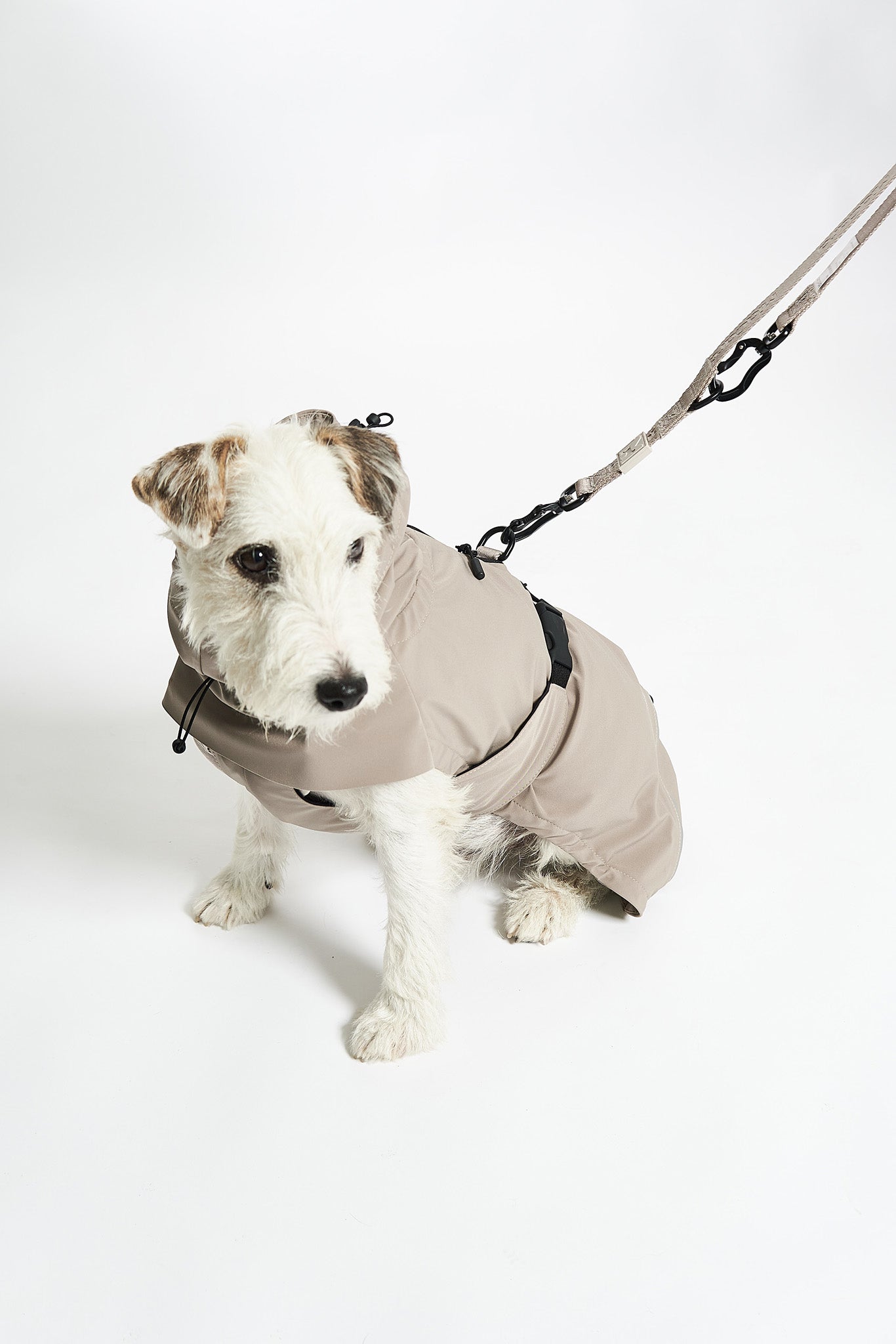 Rain Coat for Dogs: Stay Dry and Stylish with Valentina
