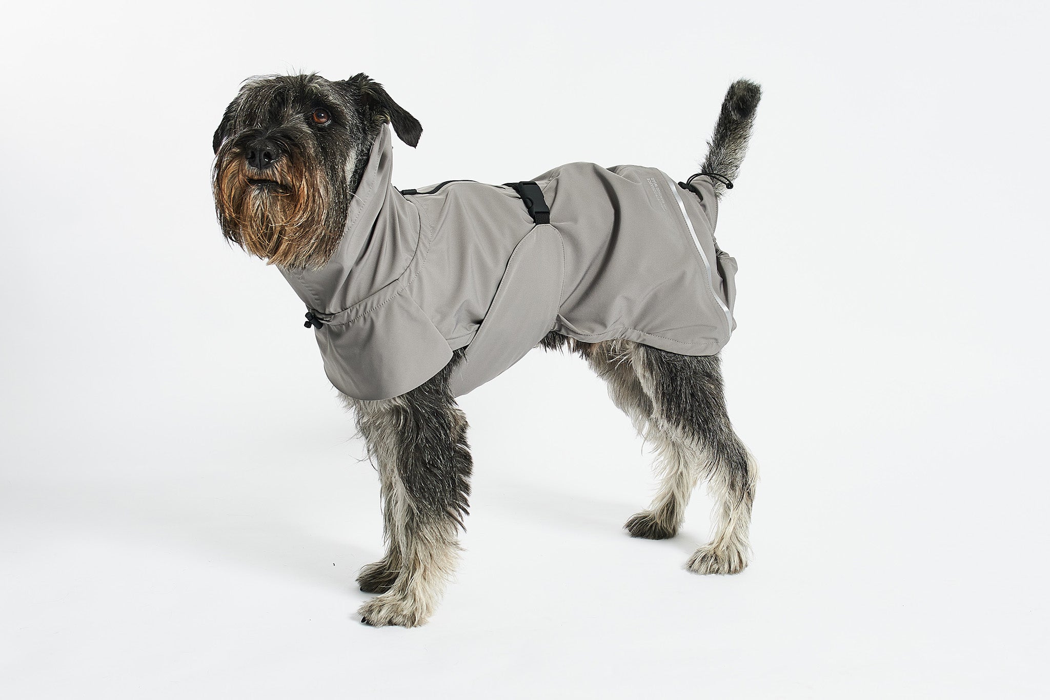 Comfortable dog rain coat for wet weather adventures