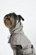 Load image into Gallery viewer, Stylish dog rain coat with superior windproofing
