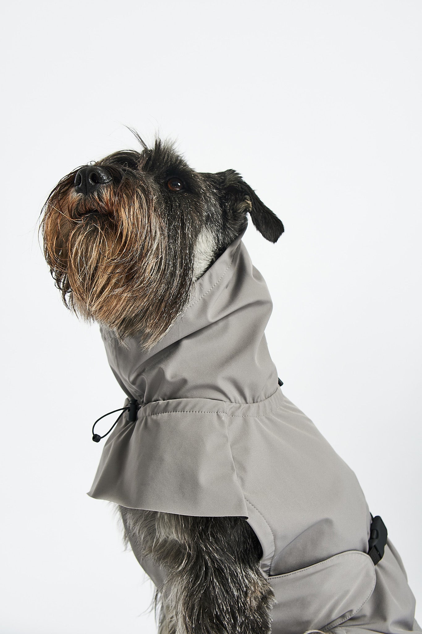 Stylish dog rain coat with superior windproofing