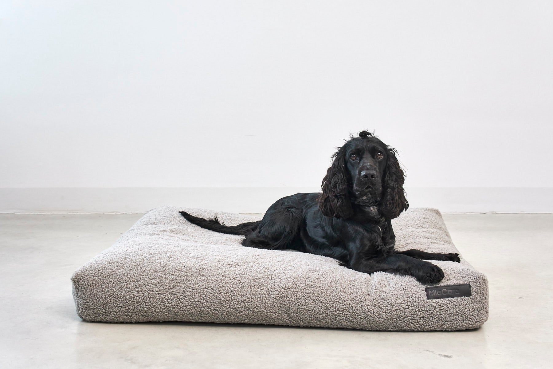 Orthopedic dog bed cushion for joint support