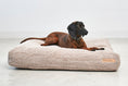 Load image into Gallery viewer, Durable dog bed cushion with sturdy foam side sections
