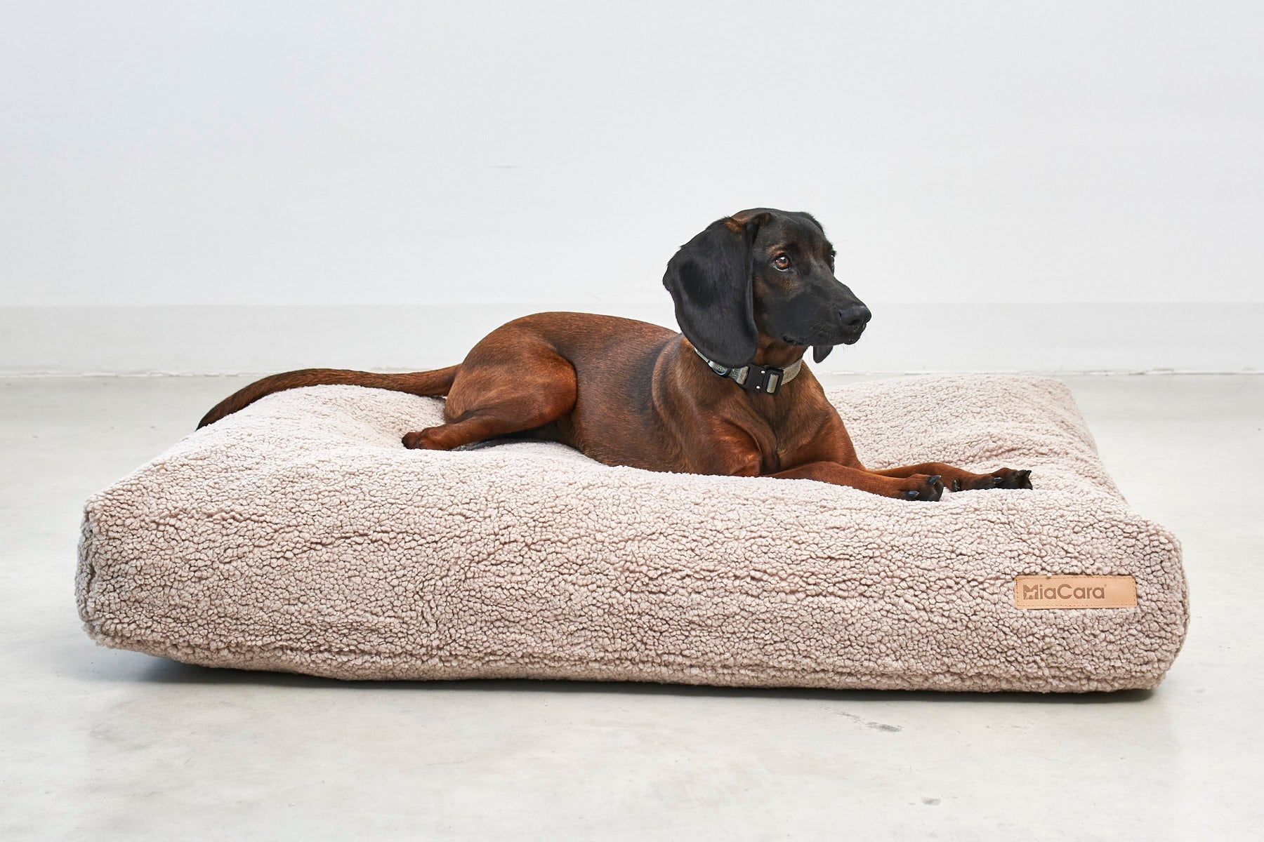 Durable dog bed cushion with sturdy foam side sections