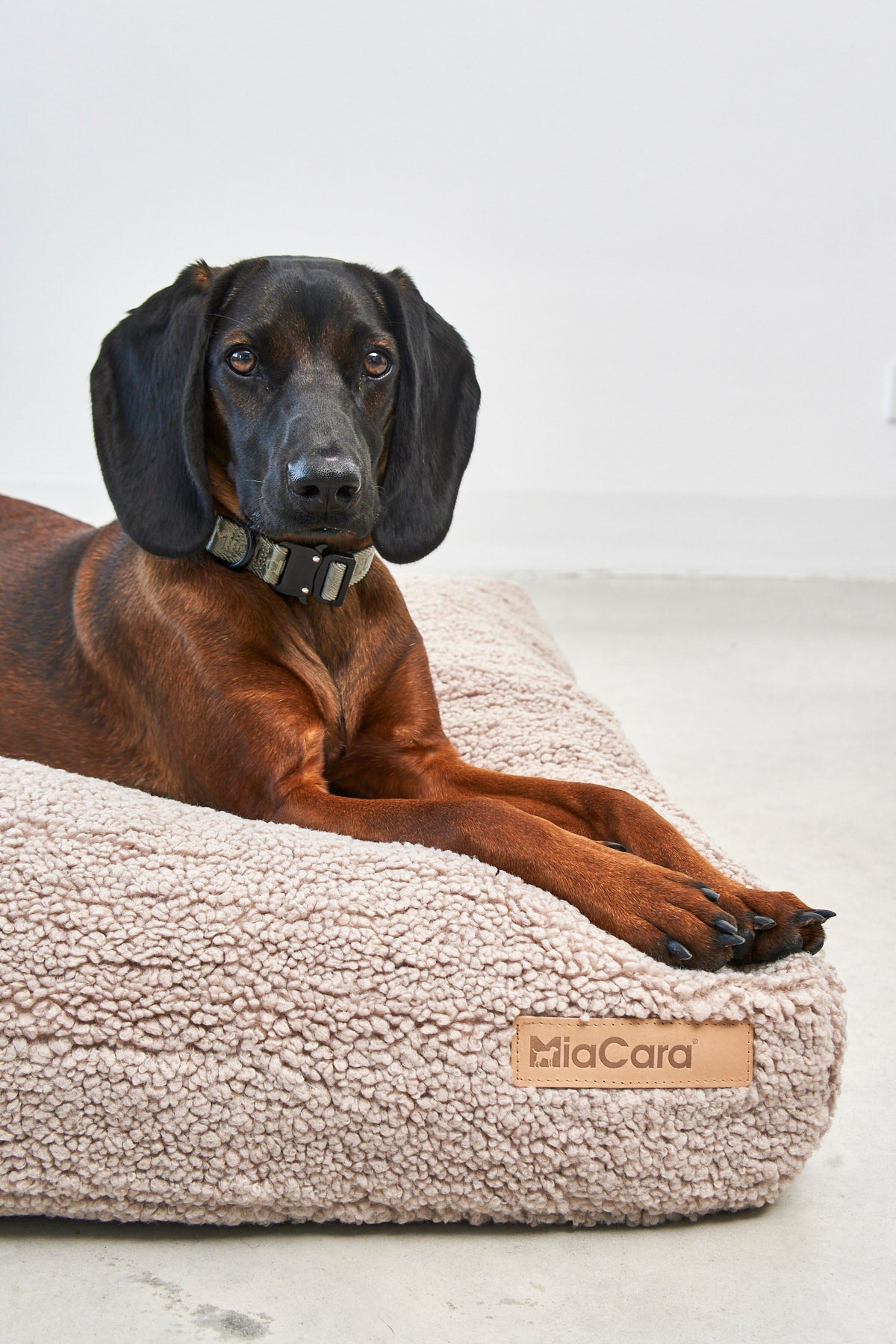 Elegant dog bed cushion in muted colors for home decor