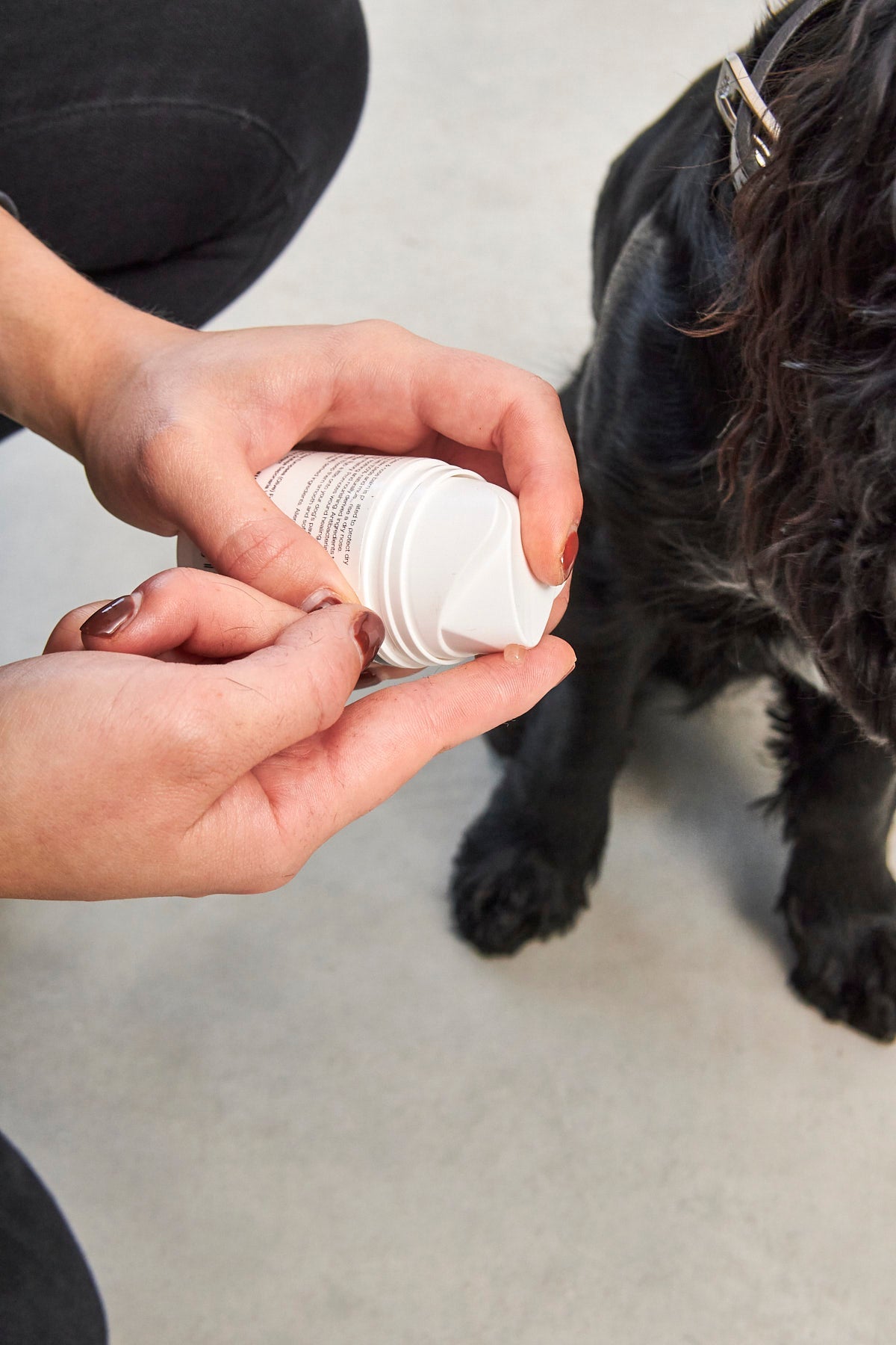 Healing balm for dog's paws and nose
