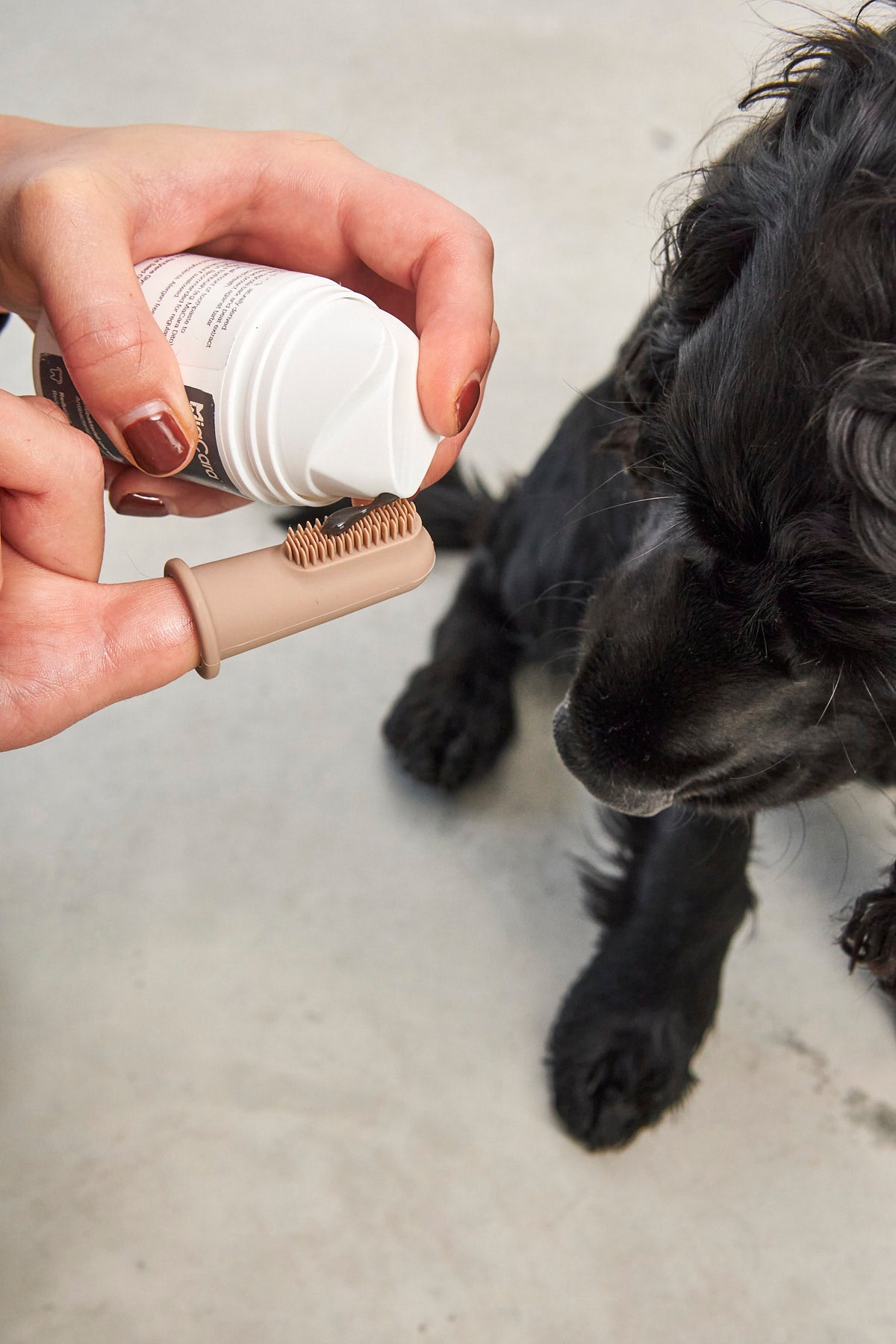 Easy to use dog toothbrush in muted colors