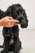 Load image into Gallery viewer, Innovative dog toothbrush by MiaCara Design Team
