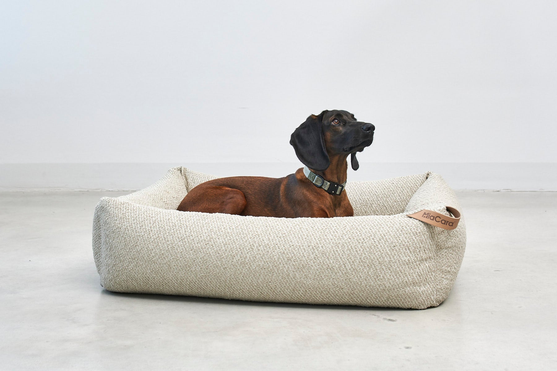 Eco-friendly luxury dog bed made from recycled materials