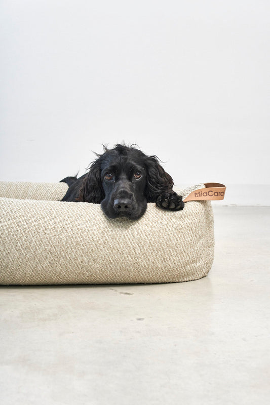 Supremo luxury dog bed with memory foam for comfort
