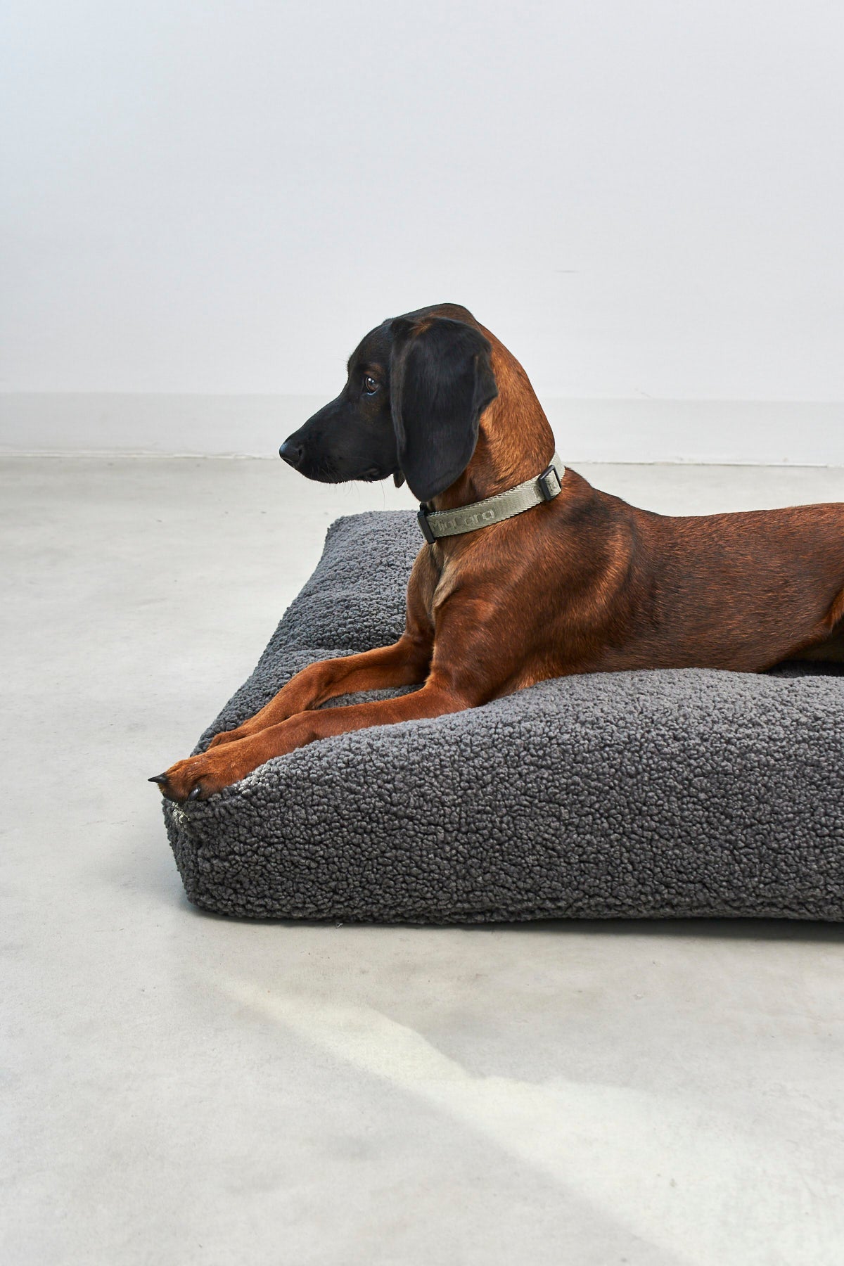 Cozy dog bed cushion in stylish bouclé fabric