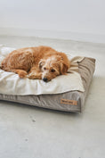 Load image into Gallery viewer, Ultra-soft fleece blanket for pets in various colors
