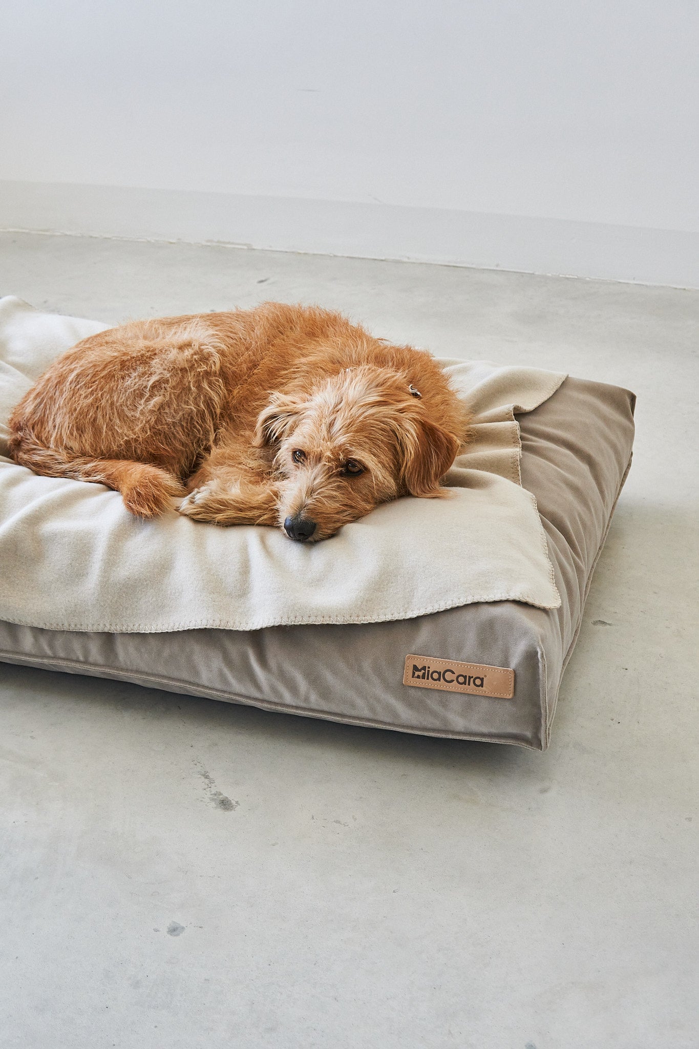Ultra-soft fleece blanket for pets in various colors