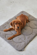 Load image into Gallery viewer,  Linea Dog Blanket
