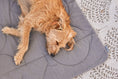 Load image into Gallery viewer,  Linea Dog Blanket

