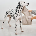 Load image into Gallery viewer, Absorbent dog towel for post-bath or rainy days
