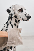Load image into Gallery viewer, Eco-friendly dog dry towel made of organic materials
