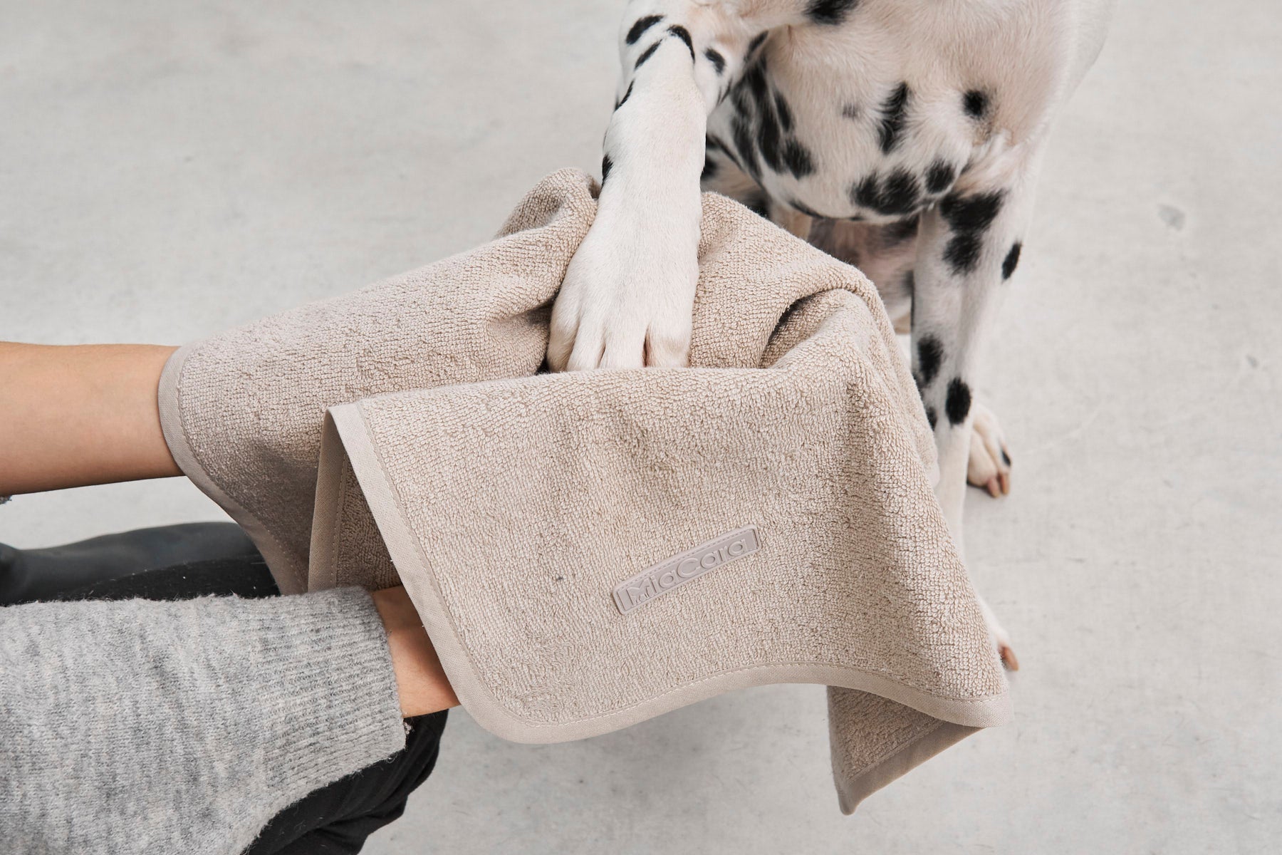 Versatile Secco Dog Towel for after-bath or rain
