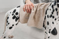 Load image into Gallery viewer, Dog drying off with plush Secco Dog Towel
