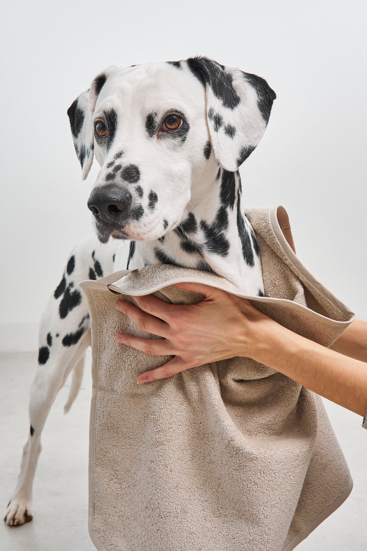 Soft and gentle Secco Dog Towel for pet care