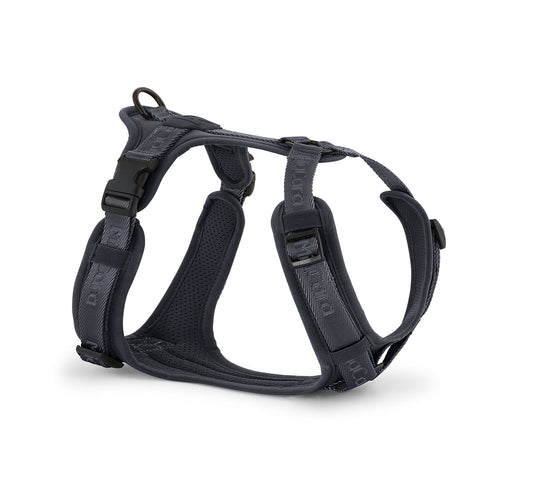 SKU:: C04-009-01-S ||Elegant design by MiaCara Design Team on dog harness