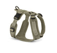 Load image into Gallery viewer, SKU:: C04-009-03-XS || Quick-release buckles on MiaCara Dog Harness for ease of use
