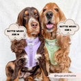 Load image into Gallery viewer, NAKD Adjustable Neck Harness - Dog Lovers
