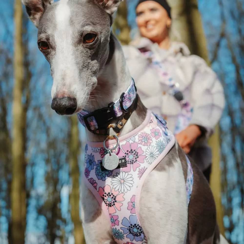 Pastel Flowers Adjustable Neck Harness - Dog Lovers