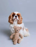 Load image into Gallery viewer, Durable and safe dog plush toy with certified fabrics

