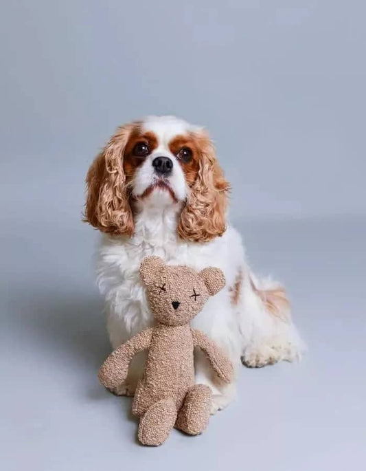Durable and safe dog plush toy with certified fabrics