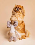 Load image into Gallery viewer, Handmade plush moose toy for dogs on white background
