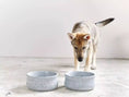 Load image into Gallery viewer, ROCKY Pet Bowl Stone - Dog Lovers
