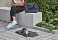 Load image into Gallery viewer, Adjustable shoulder strap dog carrier bag for comfort
