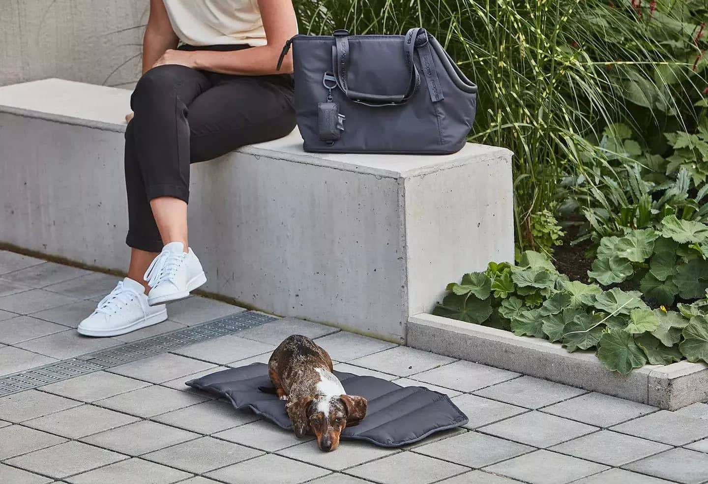 Adjustable shoulder strap dog carrier bag for comfort