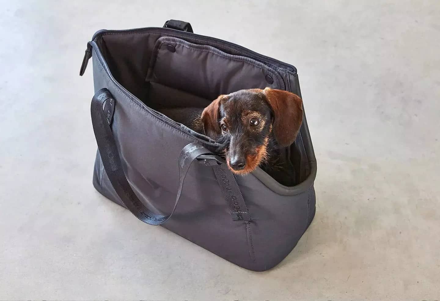 Dog carrier bag with smart storage compartments