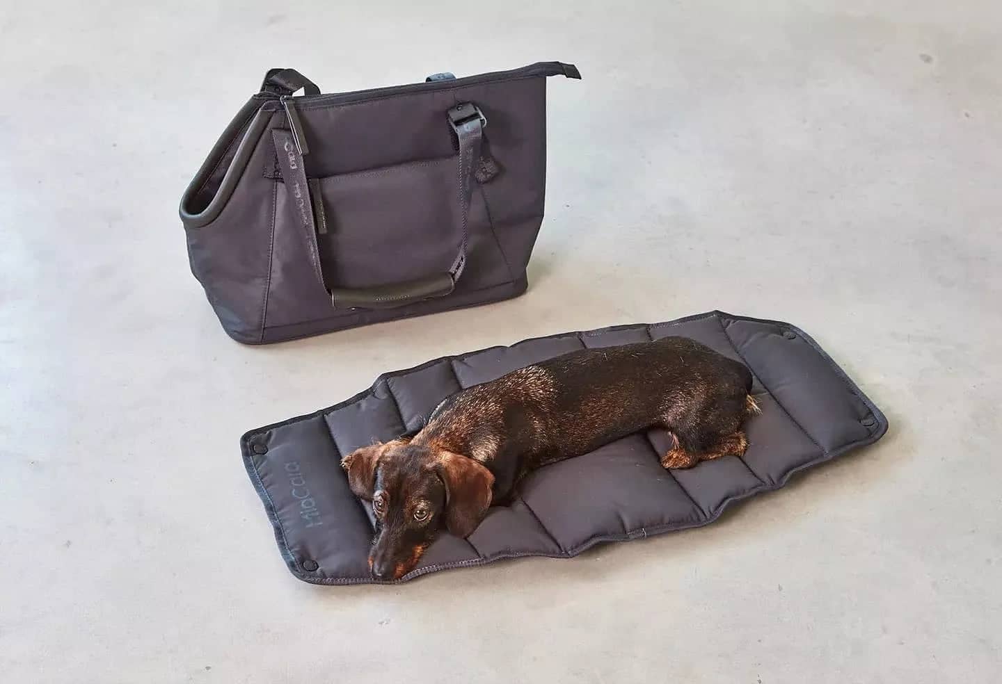 Stylish trapezoid-shaped dog carrier bag