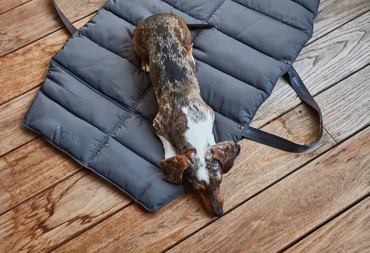 Durable dog travel bed for long-lasting use
