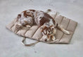 Load image into Gallery viewer, Lightweight dog bed, easy to carry and clean
